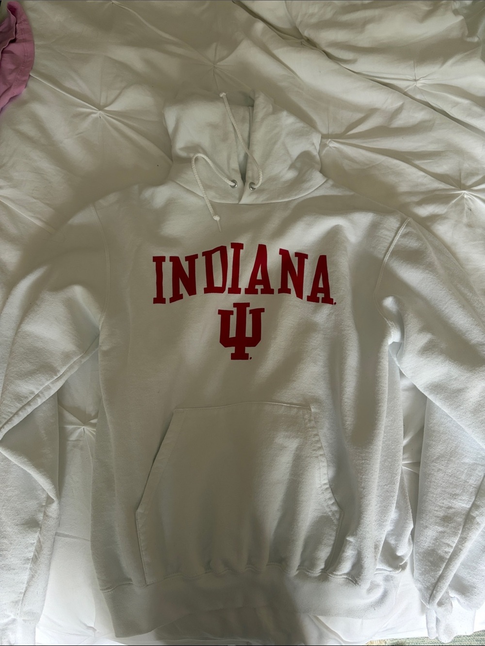Indiana Champion hoodie